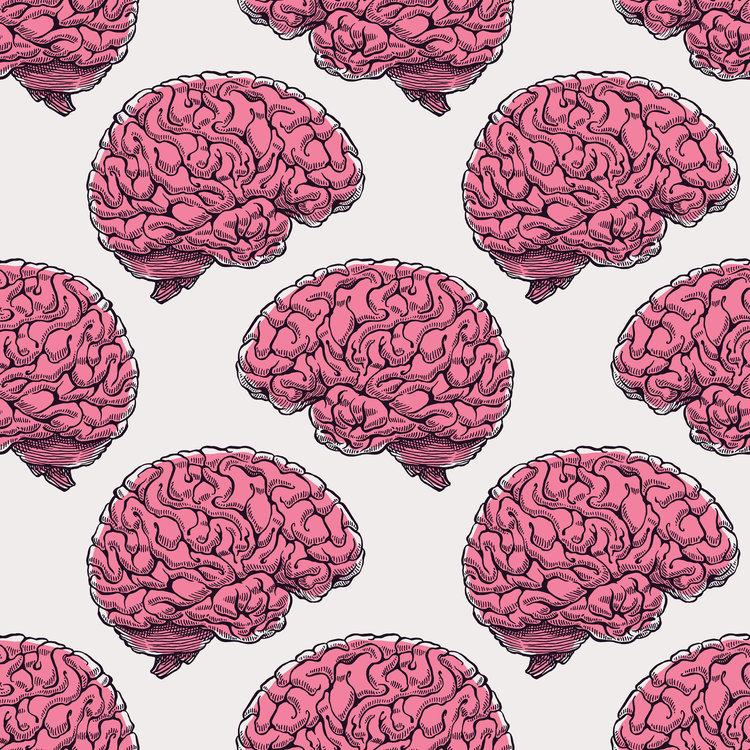 How To Have A Healthy Brain: According To A Harvard Neurology Professor